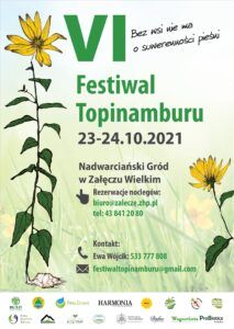 Read more about the article VI Festiwal Topinamburu