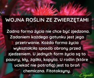 Read more about the article Wojna rodzin ze zwierzętami